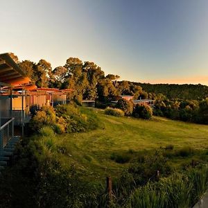 O'Reilly'S Rainforest Retreat